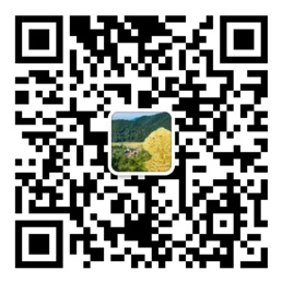 尊彩网下载